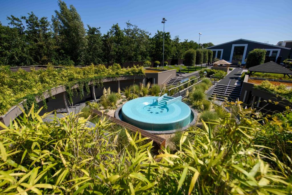 Aufguss Course - Amsterdam, The Netherlands 29-30.05.2026 (All Levels)